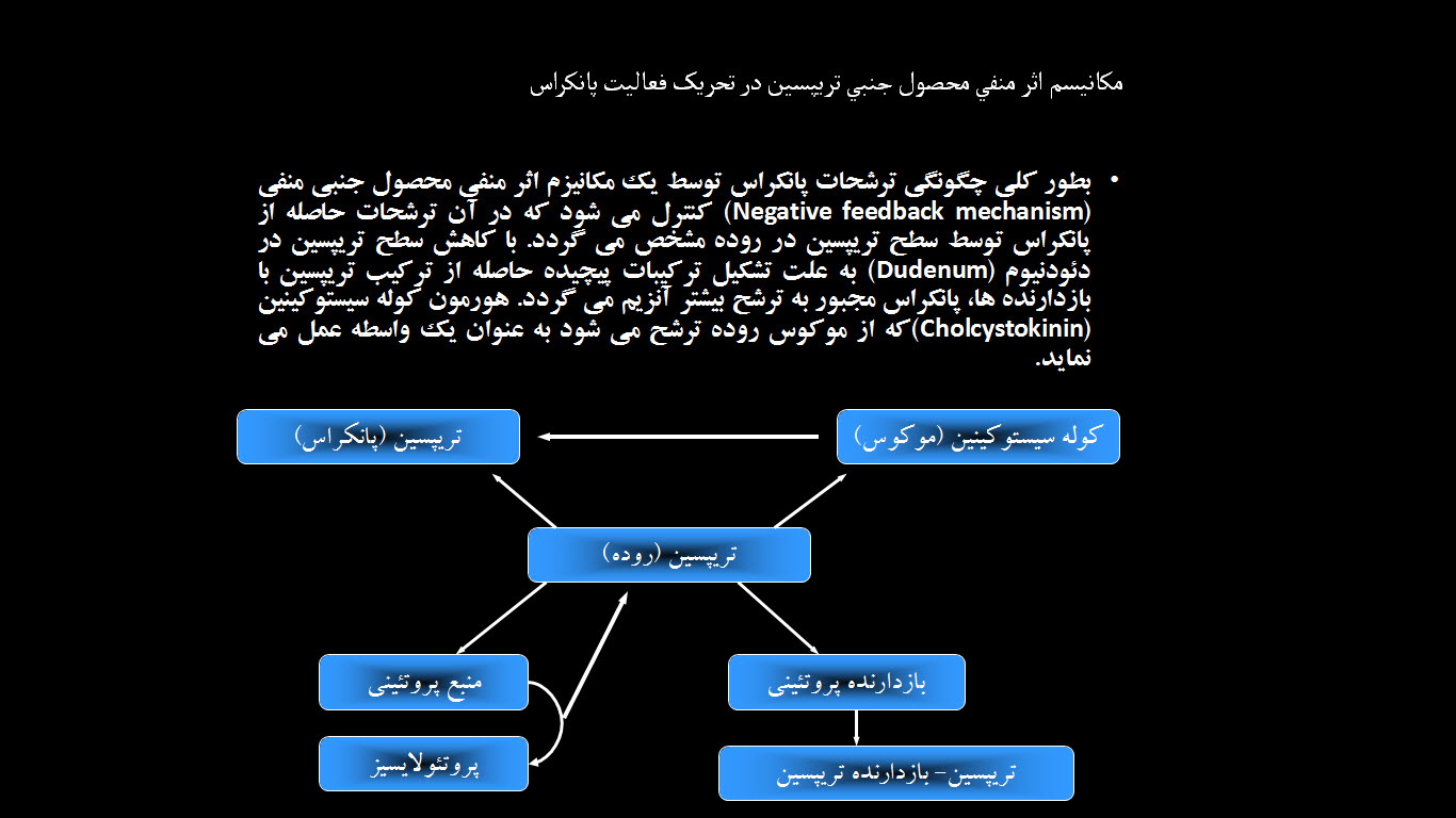 پاورپوینت بررسی عناصر ضد مغذي (بازدارنده‌ها)