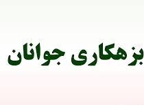 پاورپوینت نظریه های مربوط به بزهکاری جوانان